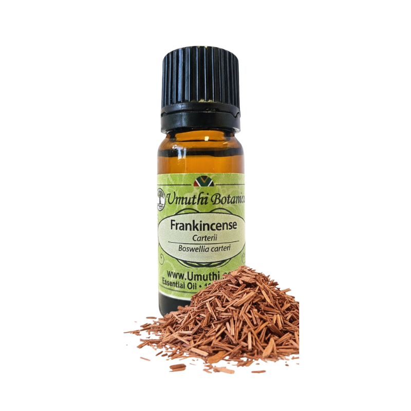 Umuthi Frankincense Carterii (Boswellia carteri)