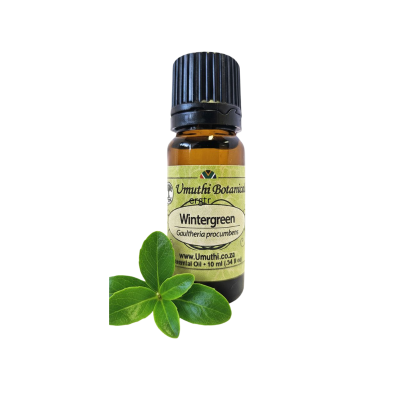 Umuthi Wintergreen Oil (Gaultheria procumbens)
