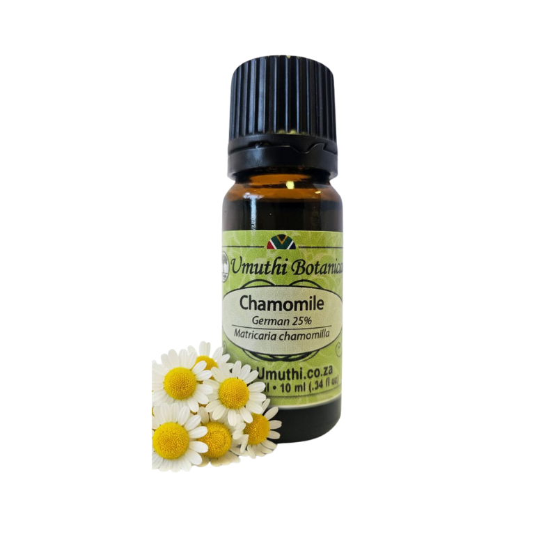 Umuthi Chamomile German 25% (Matricaria chamomilla)