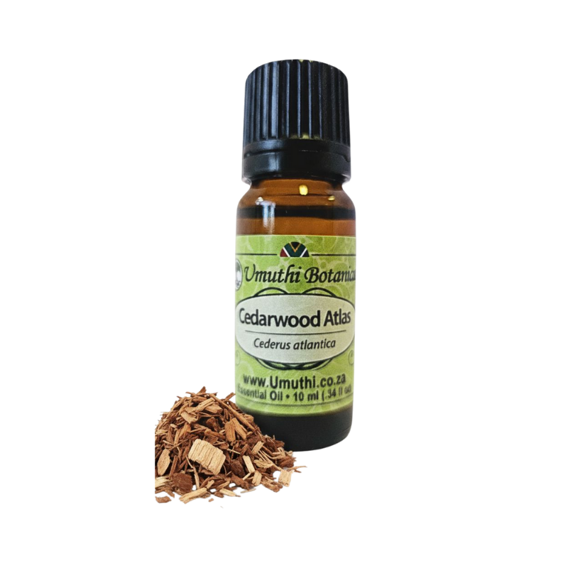Umuthi Cedarwood, Atlas (Cederus atlantica)