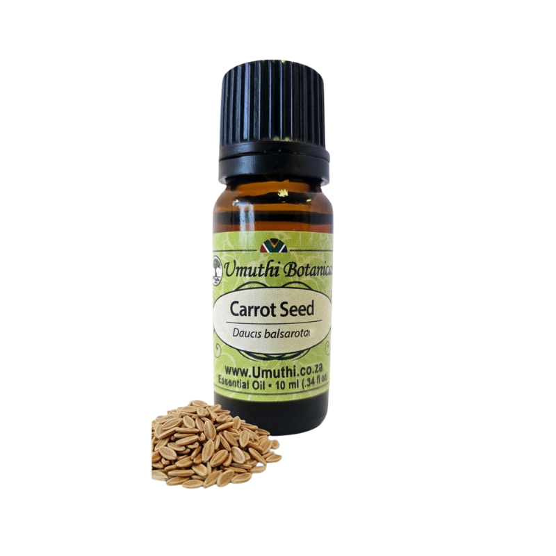 Umuthi Carrot Seed (Daucus carota)