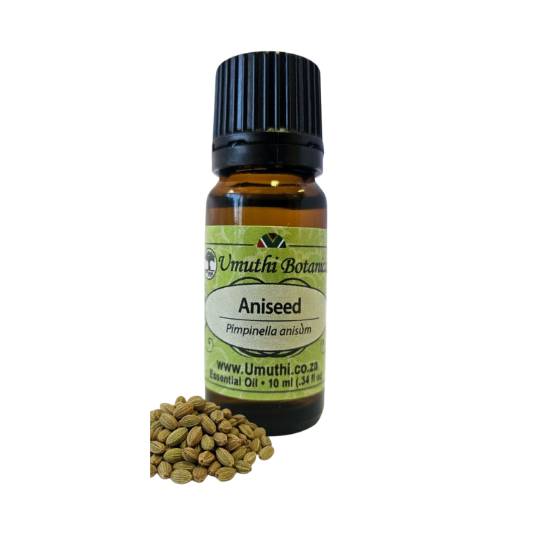 Umuthi Aniseed (Pimpinella anisum)