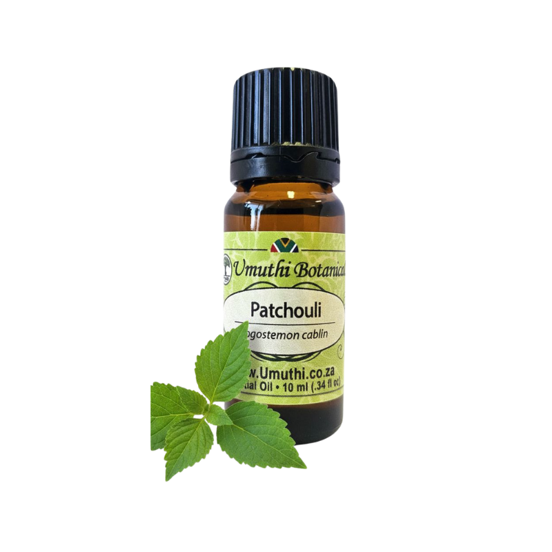 Umuthi Patchouli (Pogostemon cablin)