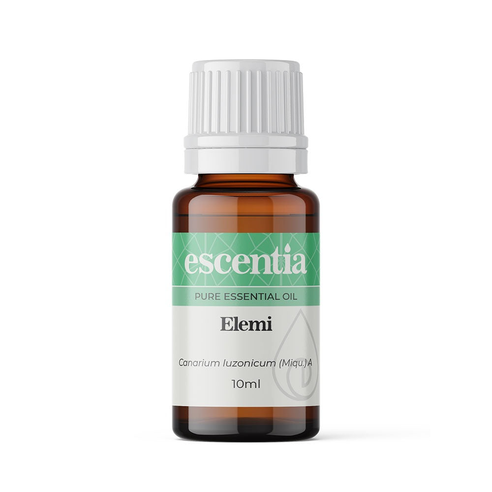 Escentia Elemi Essential Oil Canarium luzonicum (Miqu.) A