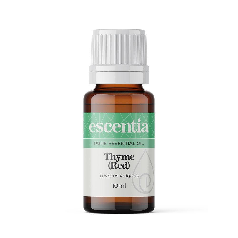 Escentia Thyme (Red) Essential Oil Thymus vulgaris