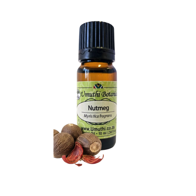 Umuthi Nutmeg (Myristica fragrans)