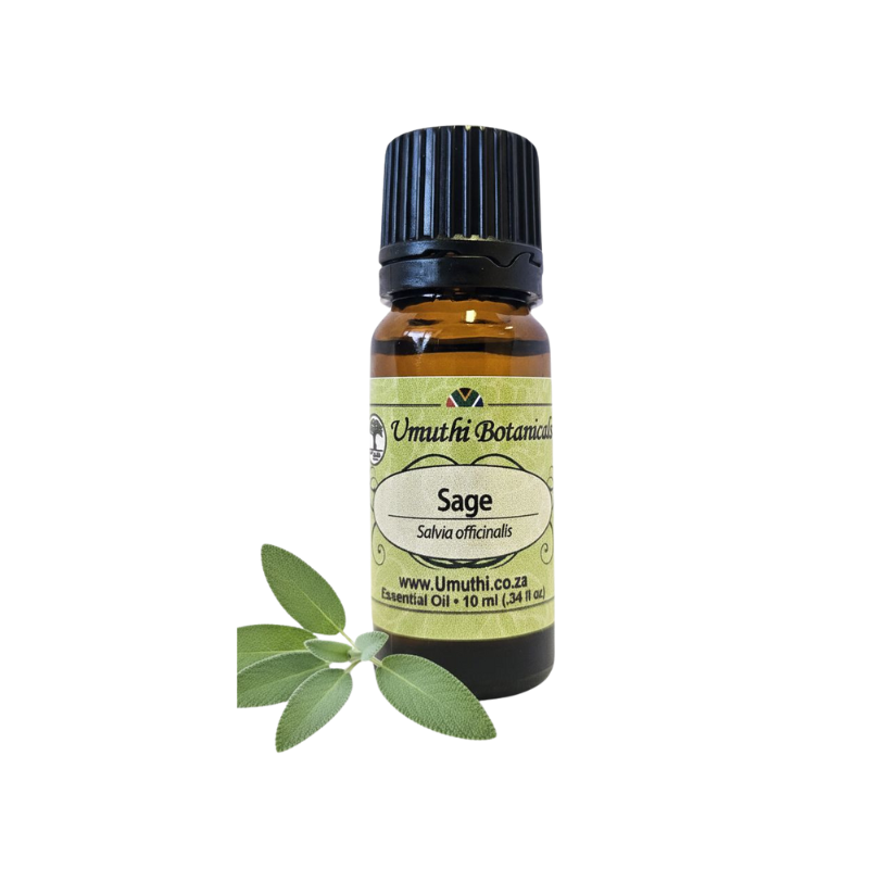 Umuthi Sage (Salvia officinalis)