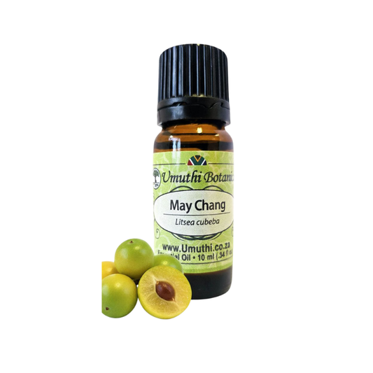 Umuthi May Chang (Litsea cubeba)