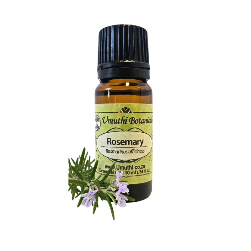 Umuthi Rosemary (Rosmarinus officinalis)