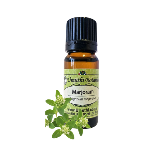 Umuthi Marjoram (Origanum majorana)