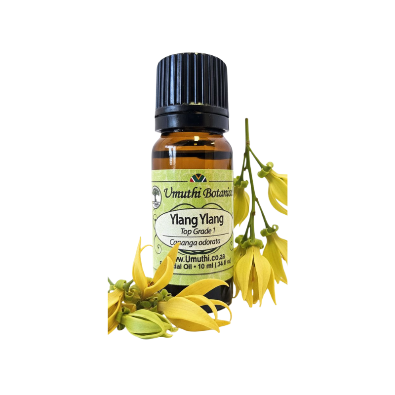 Umuthi Ylang Ylang - Top Grade 1 (Cananga odorata)