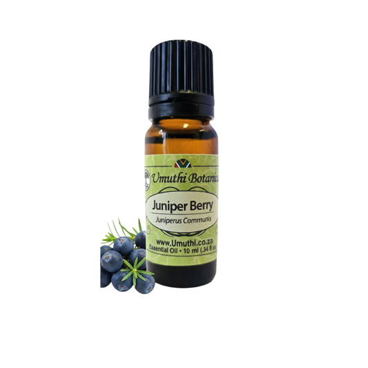 Umuthi Juniper Berry (Juniperus communis)