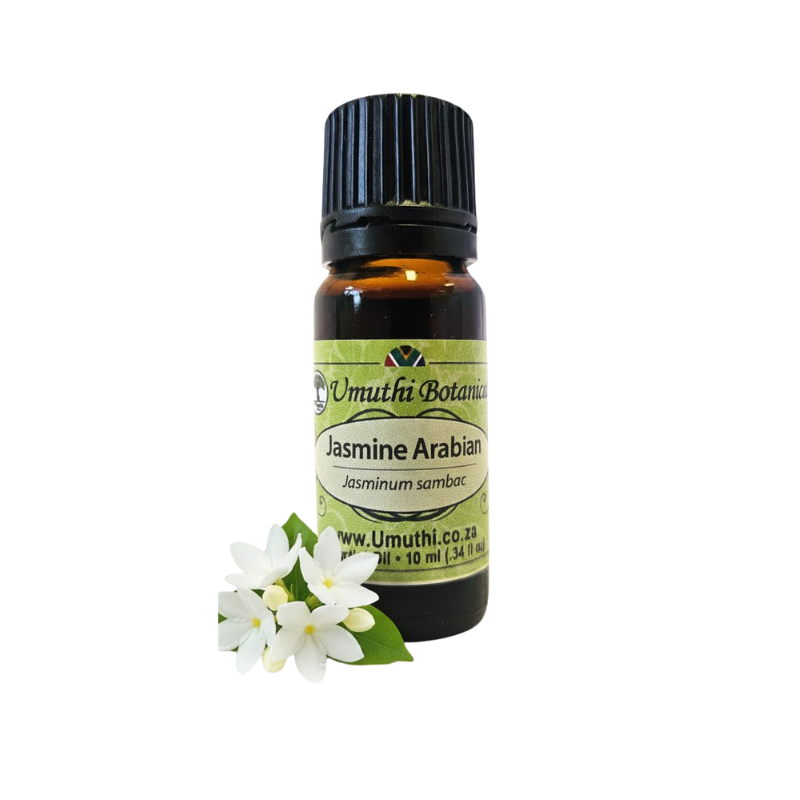 Umuthi Jasmine Arabian (Jasmanim Sambac)