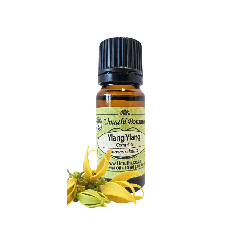 Umuthi Ylang Ylang - Complete (Cananga odorata)