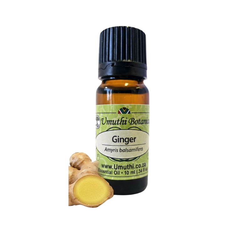 Umuthi Ginger (Zingiber officinale)