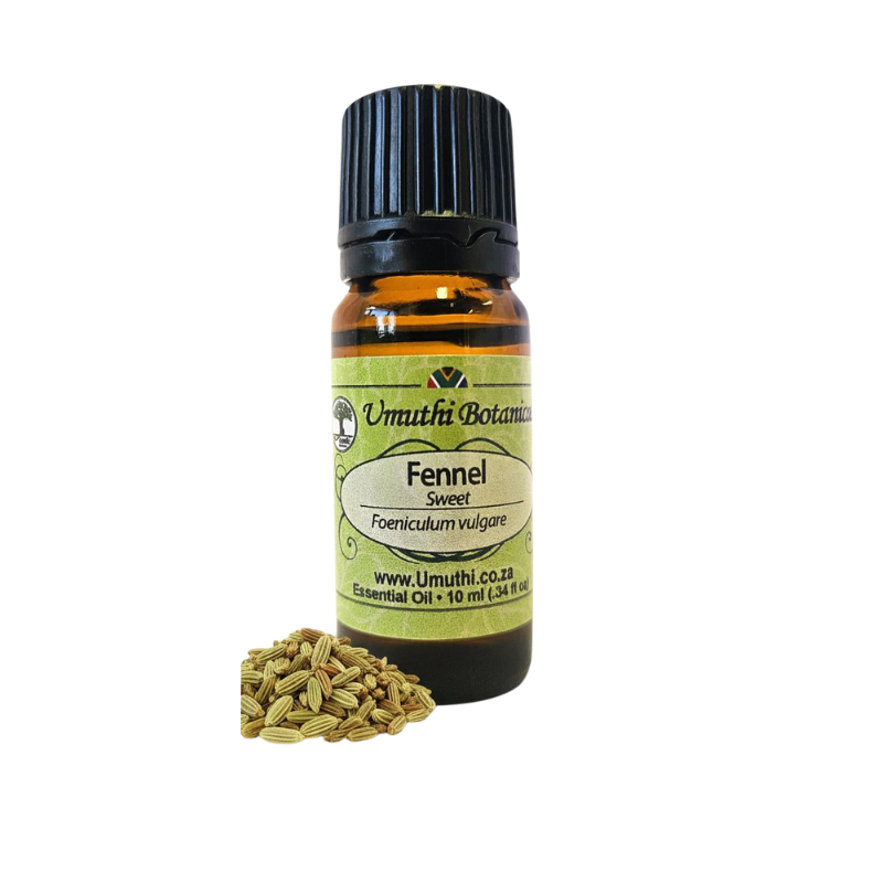 Umuthi Fennel (Foeniculum vulgare)