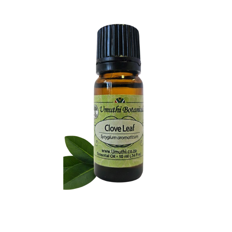 Umuthi Clove Leaf (Syzygium aromaticum)