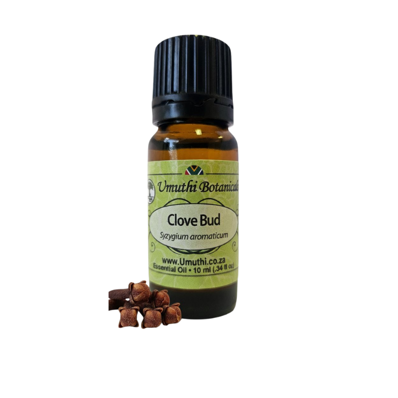 Umuthi Clove Bud (Syzygium aromaticum)