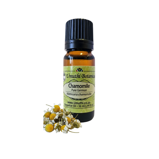Umuthi Chamomile Pure German (Matricaria chamomilla)