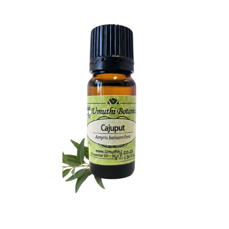 Umuthi Cajuput (Melaleuca cajuputi)