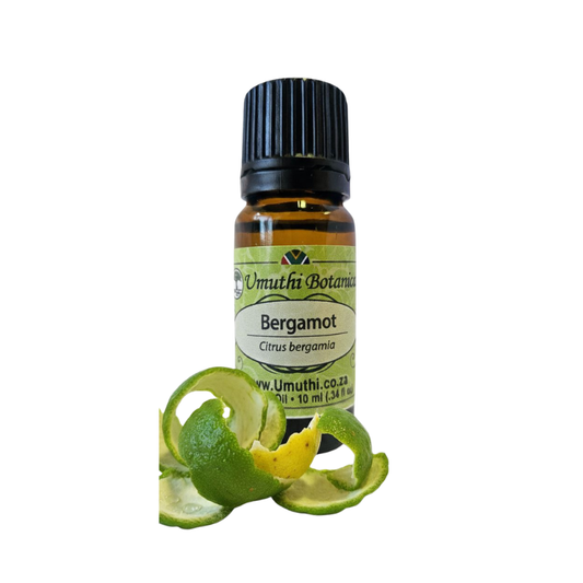 Umuthi Bergamot (Citrus bergamia)