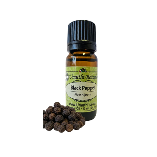 Umuthi Black Pepper (Piper nigrum)