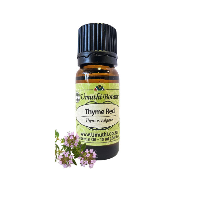 Umuthi Thyme Red (Thymus vulgaris)