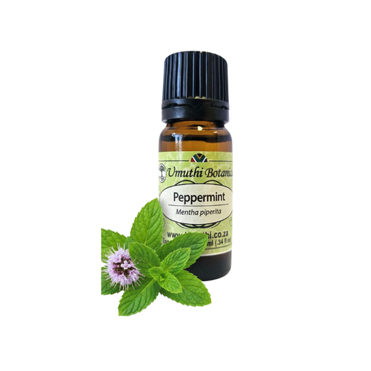 Umuthi Peppermint (Mentha piperita)