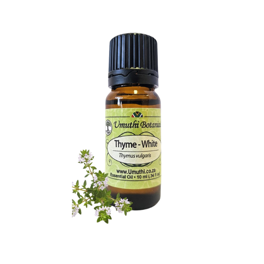 Umuthi Thyme White (Thymus vulgaris)