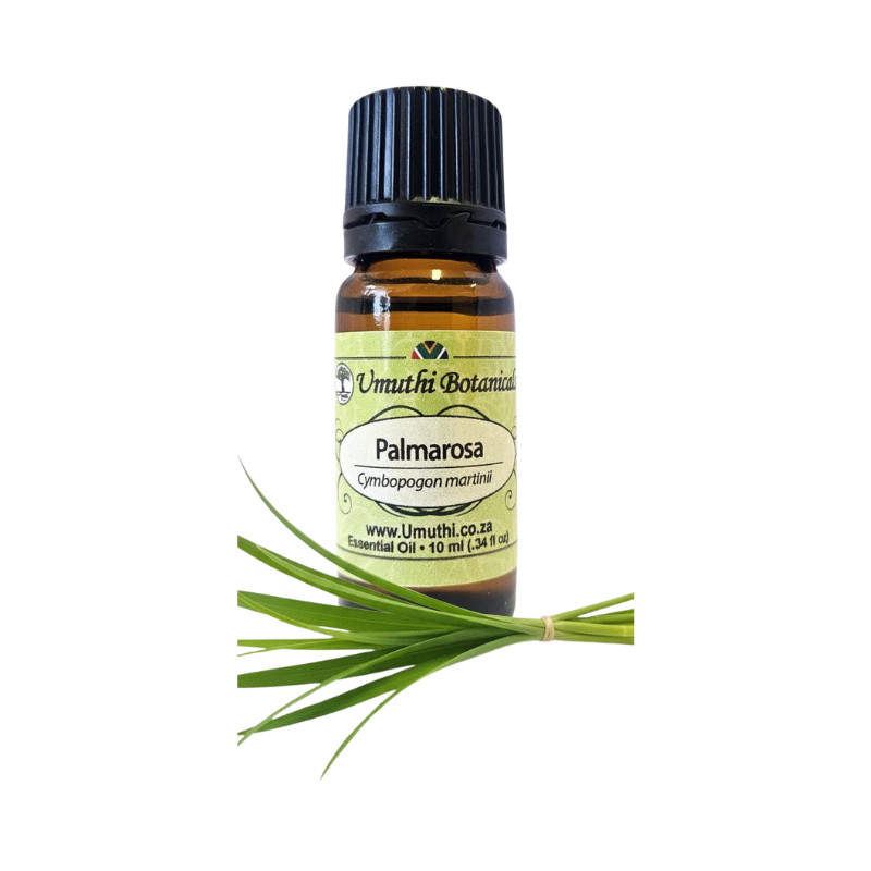 Umuthi Palmarosa (Cymbopogon martinii)