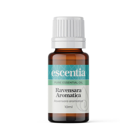 Escentia Ravensara Aromatica Essential Oil Ravensara aromatica