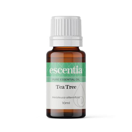 Escentia Tea Tree Essential Oil Melaleuca alternifolia